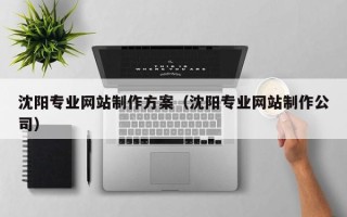 如东沈阳专业网站制作方案（沈阳专业网站制作公司）